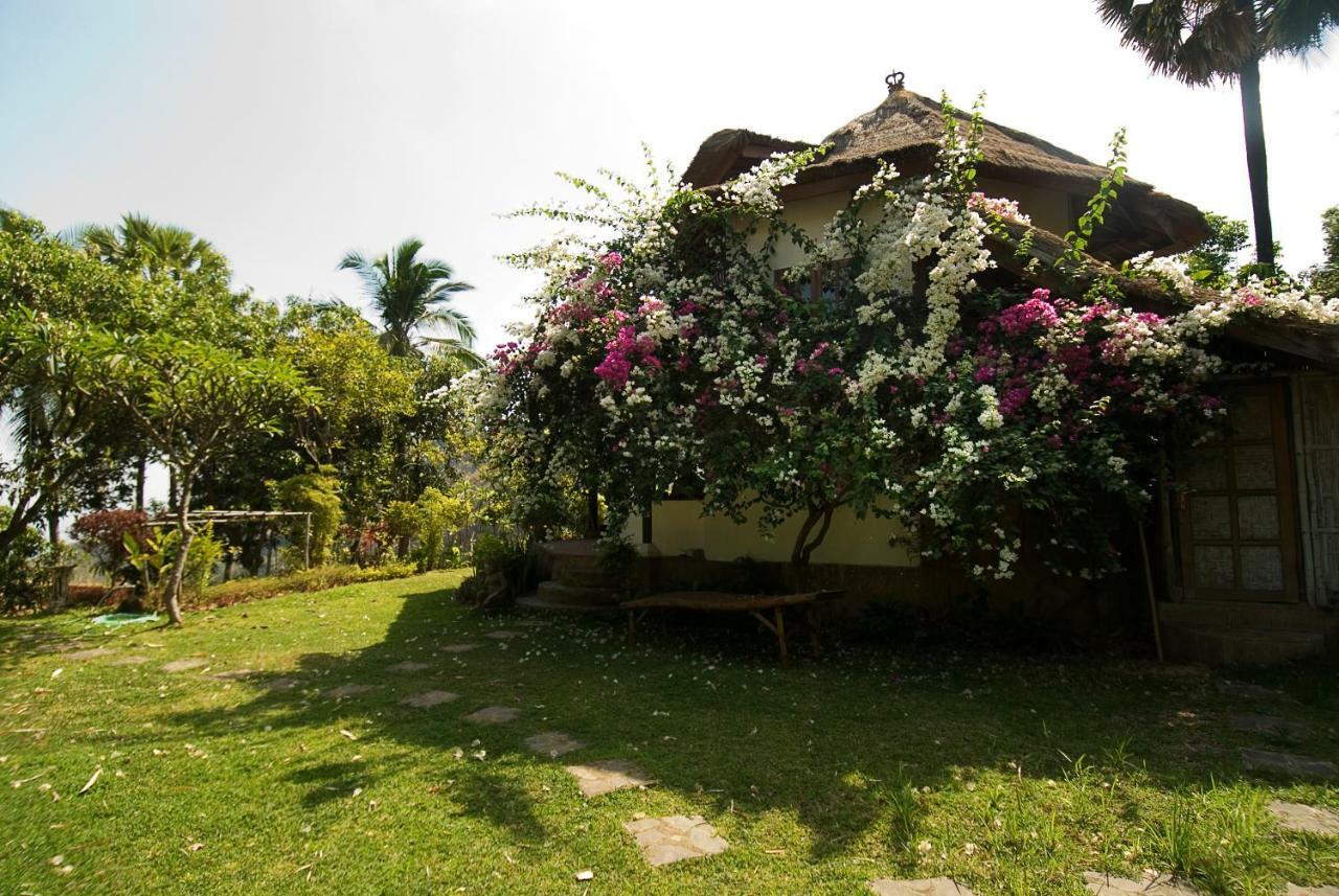 Gaia-Oasis Mountain Abasan Hotel Tejakula Exterior photo